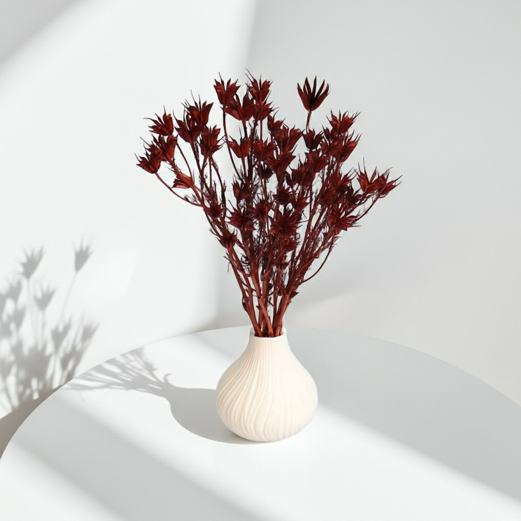 Sušená Nigella orientalis v hnědém odstínu – přírodní dekorace pro rustikální výzdobu